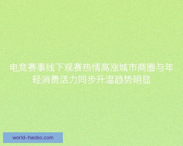 电竞赛事线下观赛热情高涨城市商圈与年轻消费活力同步升温趋势明显