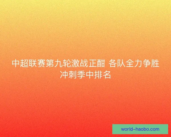 中超联赛第九轮激战正酣 各队全力争胜冲刺季中排名